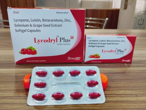 WhatsApp Image 2025-11-25 at 14.32.30_c9cbb9f5